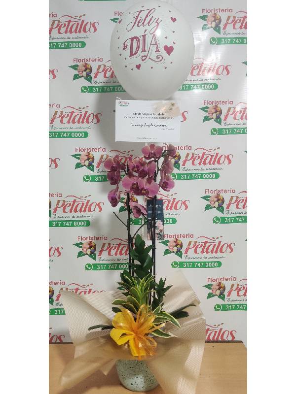 Flores Floristería Rionegro 031